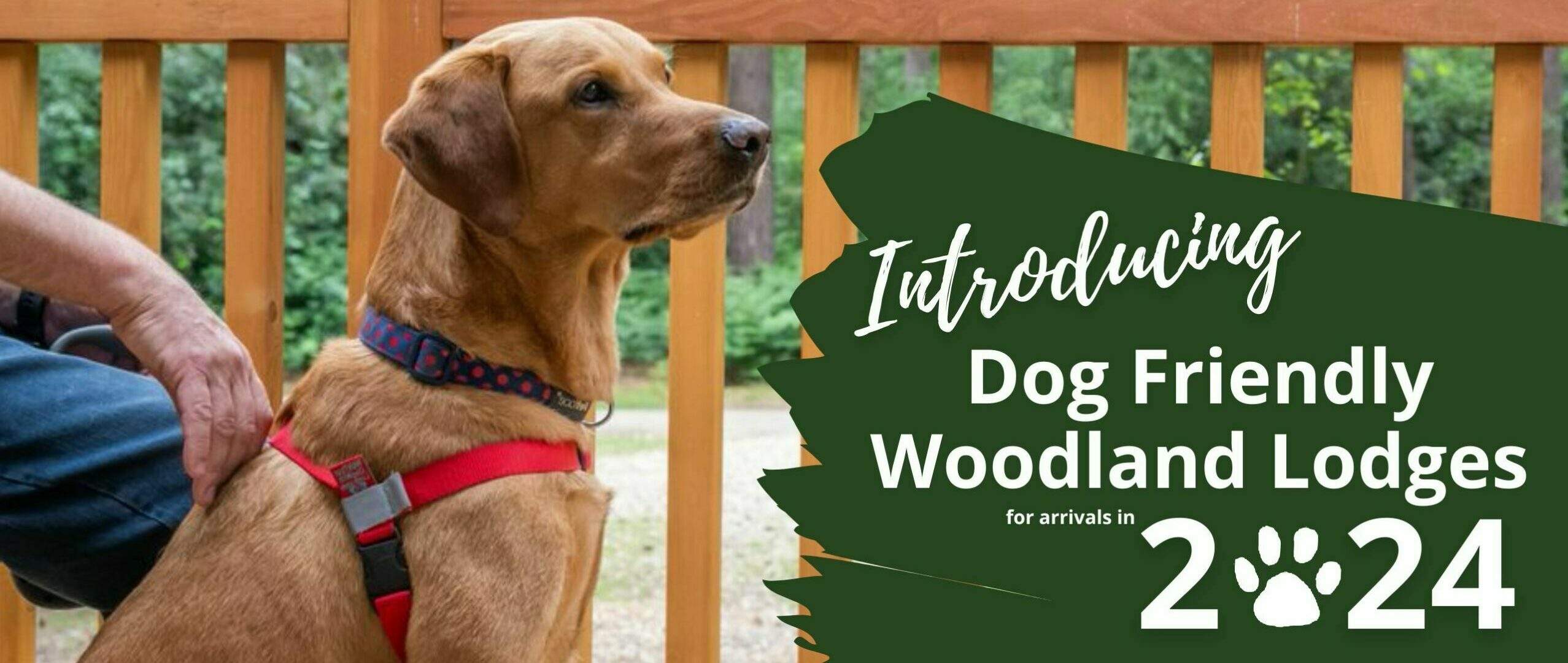 Introducing Dog Friendly Lodges